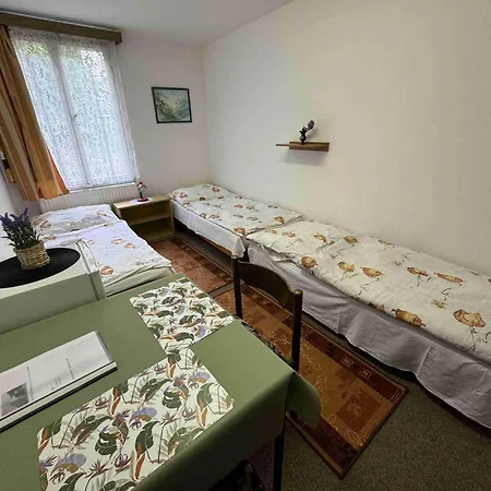 Ubytovna Cesky Krumlov 3*