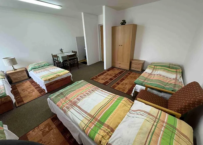 Ubytovna Cesky Krumlov 게스트하우스 3*