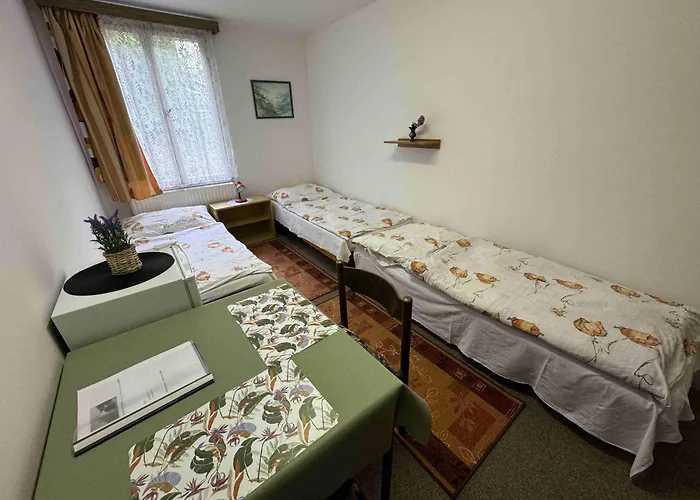 Ubytovna Cesky Krumlov 3*