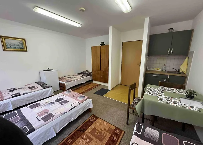 Ubytovna Cesky Krumlov 3* Чески-Крумлов