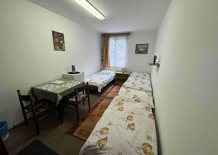 Ubytovna Cesky Krumlov Гостевой дом